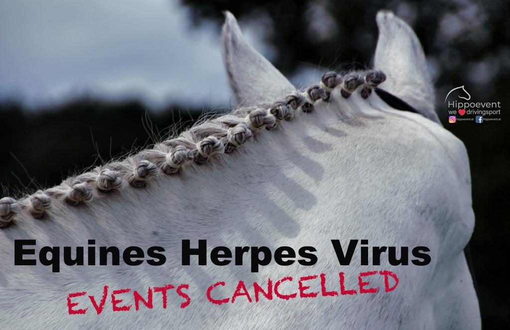 Equines-Herpes-Virus-ec
