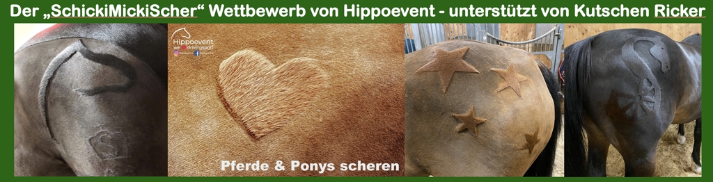ScherWettbewerbHeader web