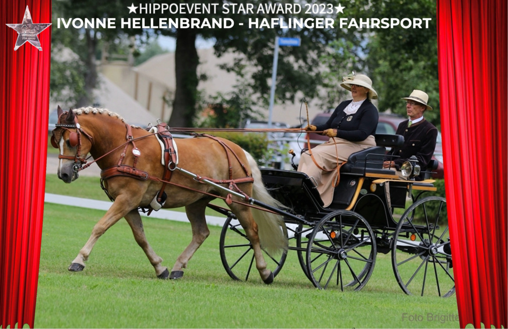 HaflingerFahrsport