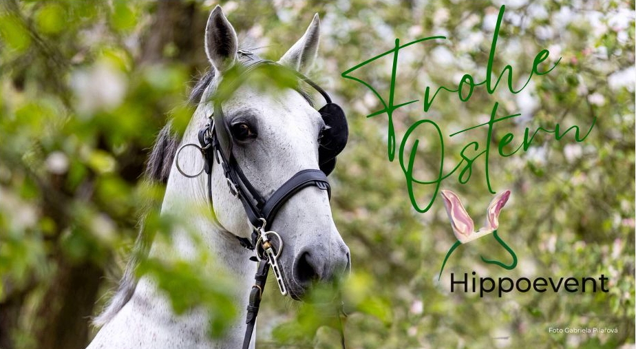 ostern 25 website