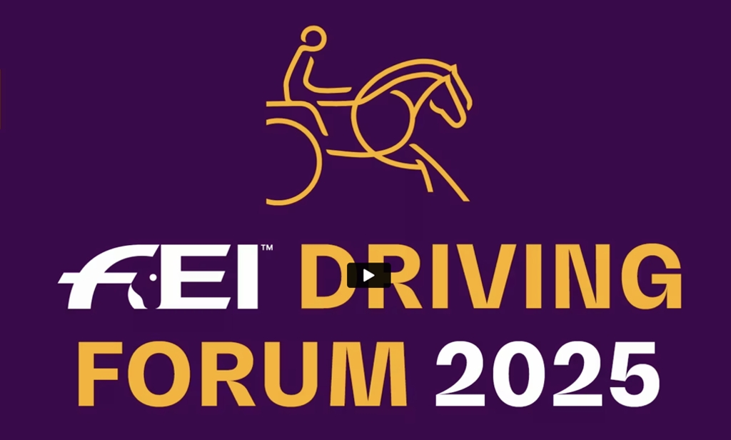 FEI DF
