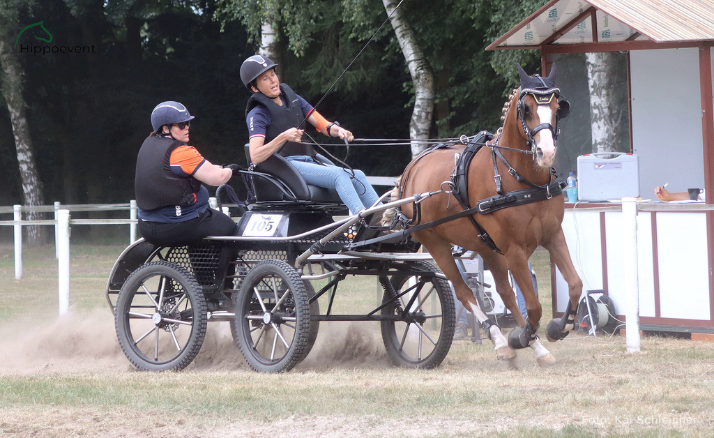 HPS 2026 Greven 20