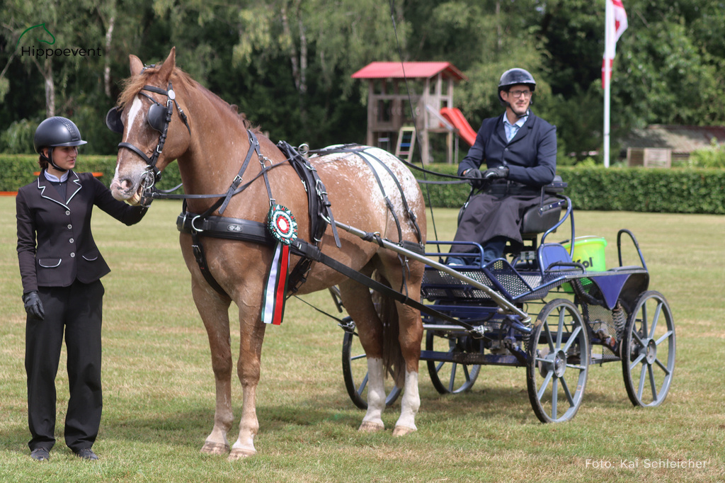 HPS 2026 Greven 5