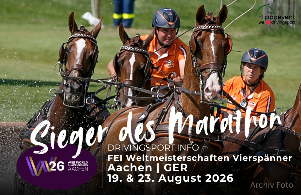 sieger Marathon 3