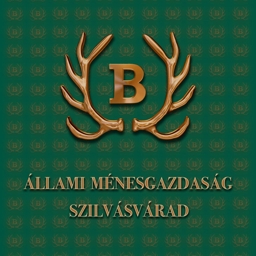 logoSzilvasvarad 