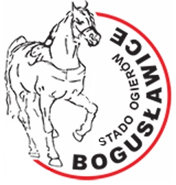 Boguslawice Logo