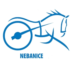 nebanice logo