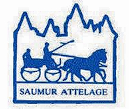 saumur logo