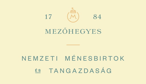 Mezohegyes web19