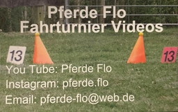 Pferdeflo