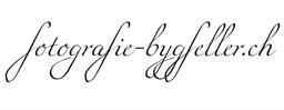 LogoBrigitteGfeller