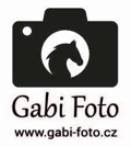 logo gabi web